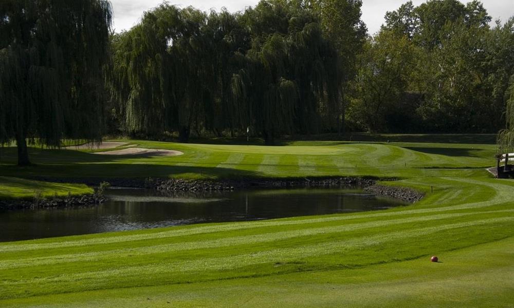 Hole #17 Par 3 160 Yards